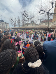 množica ljudi na pustnem karnevalu