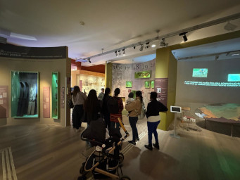 Hoja po prostorih muzeja